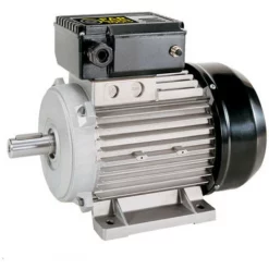 Moteur électrique 3 CV 2208 W 230 V - 117116 - Fartools